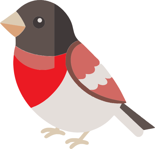 Rose-breasted Grosbeak